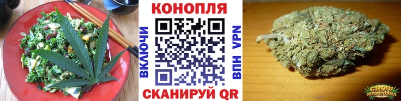 сколько стоит  Новая Ляля  Cannafood конопля 