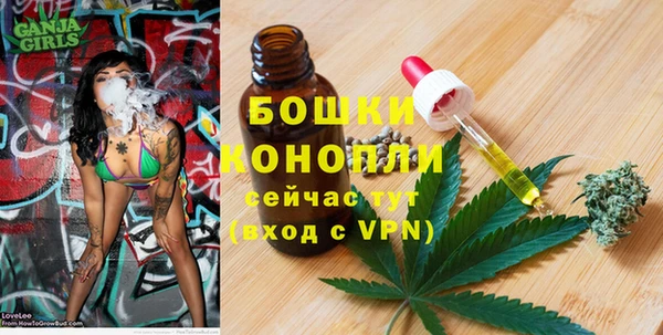 гидропоника Белокуриха