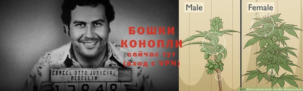 гидропоника Белокуриха